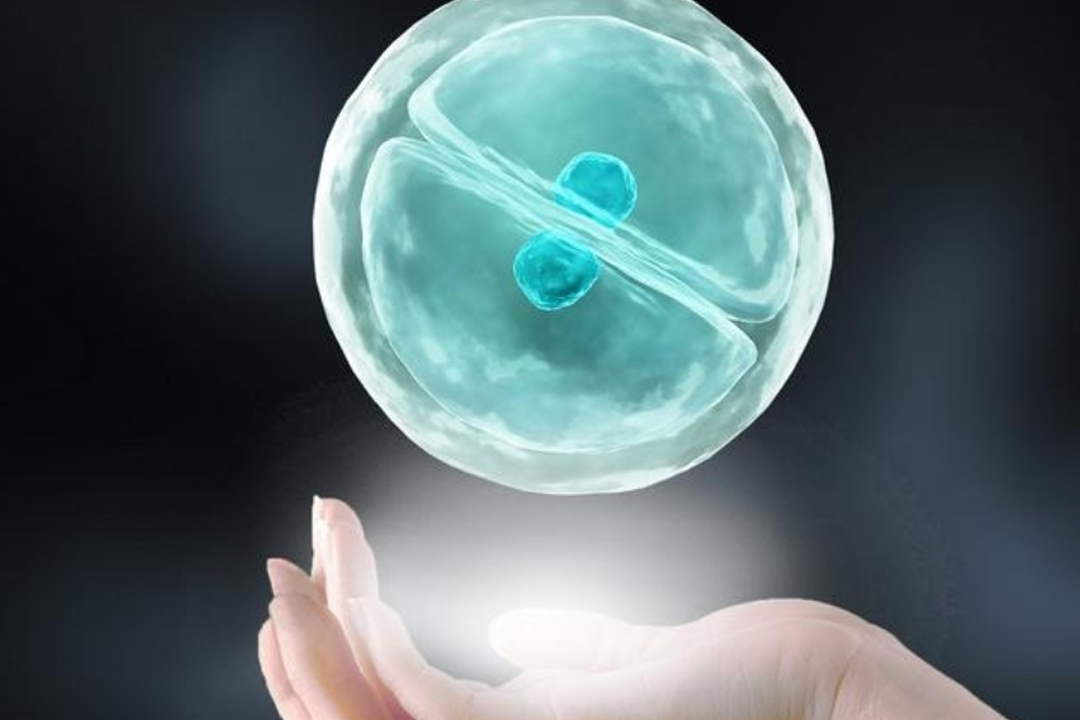专业代怀机构试管代怀子宫压迫直肠，症状、影响与应对策略